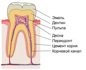 Распломбировка каналов